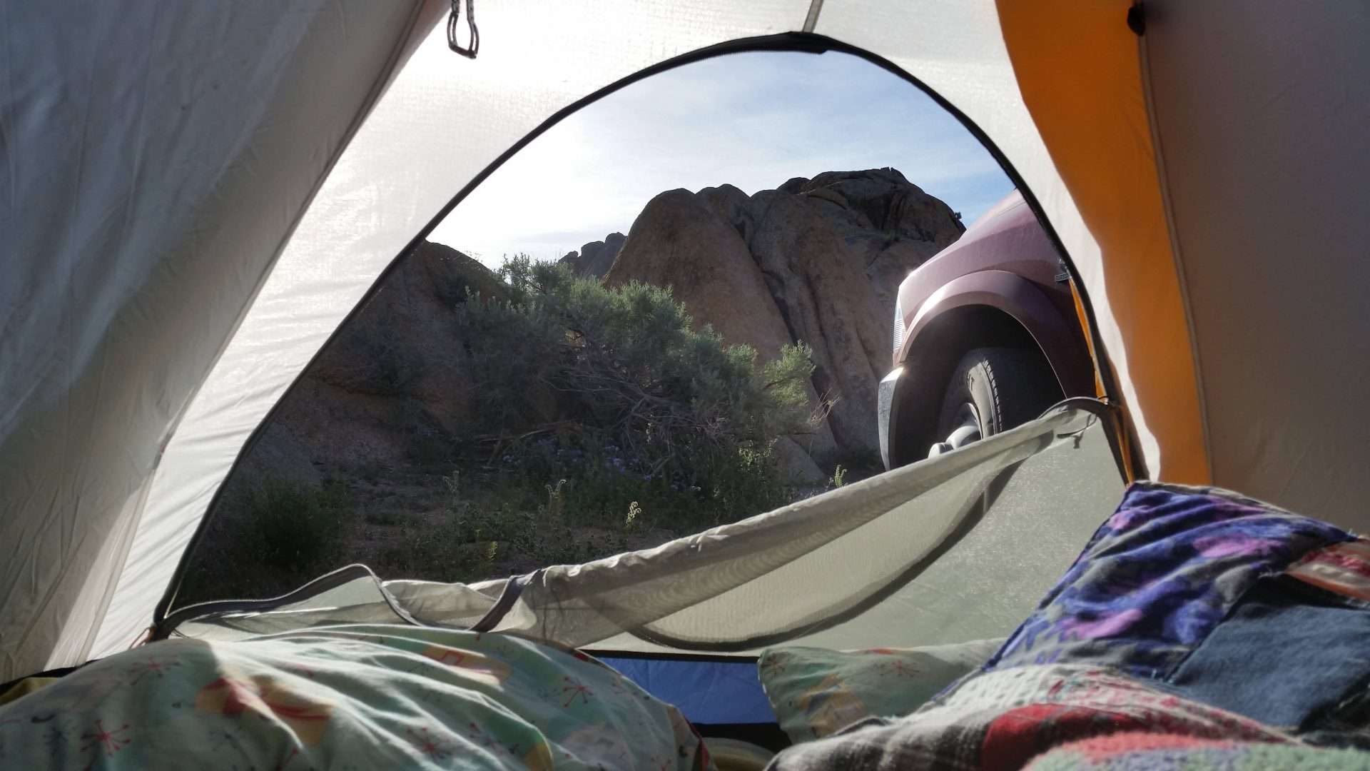 View from inside 2-person tent