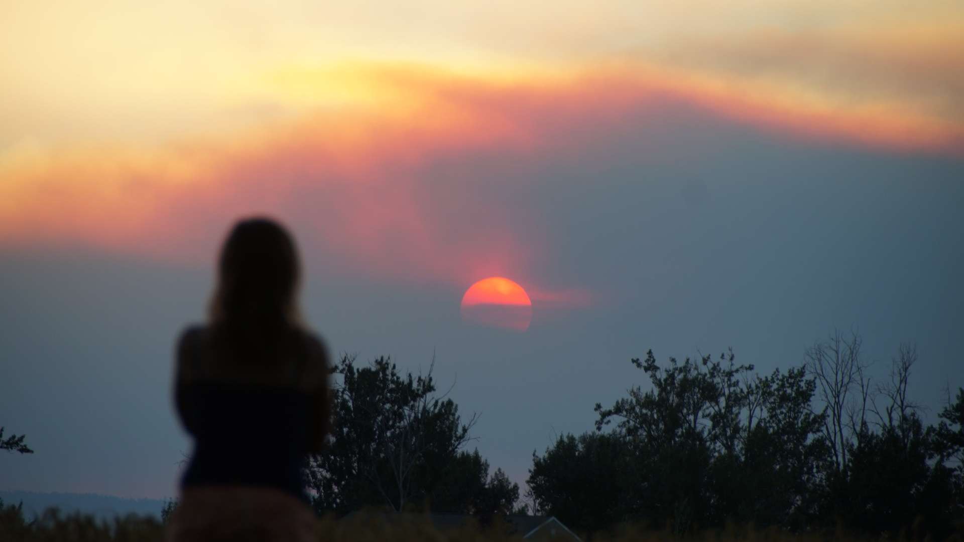 air purifiers can help with wildfire smoke