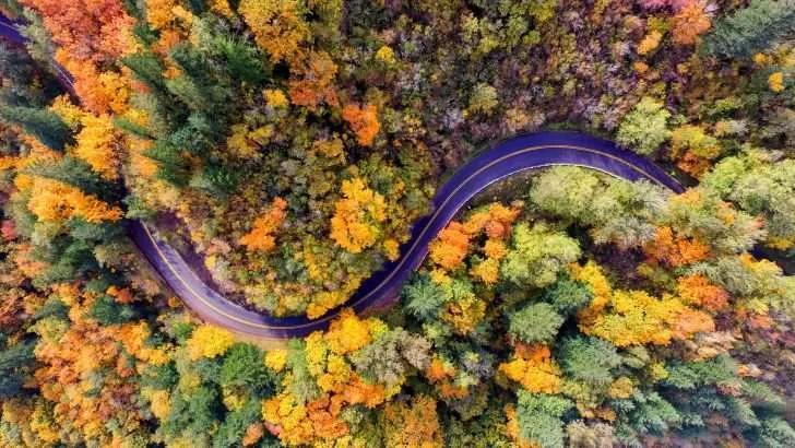 road winding through fall colors