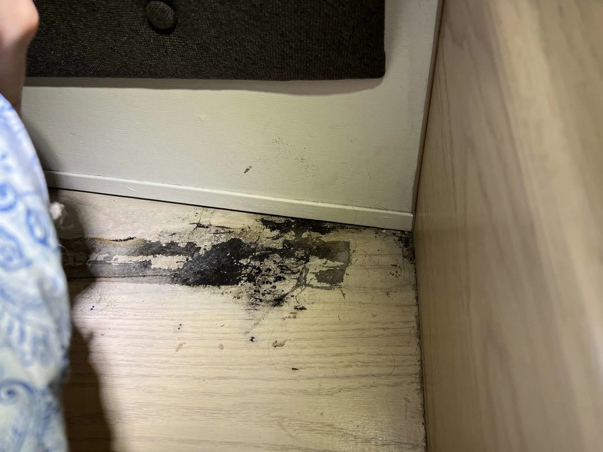 mold from condensation under rv bed