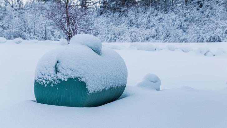 Can Propane Really Freeze? The Cold Truth and Care Guide for Tanks and Lines