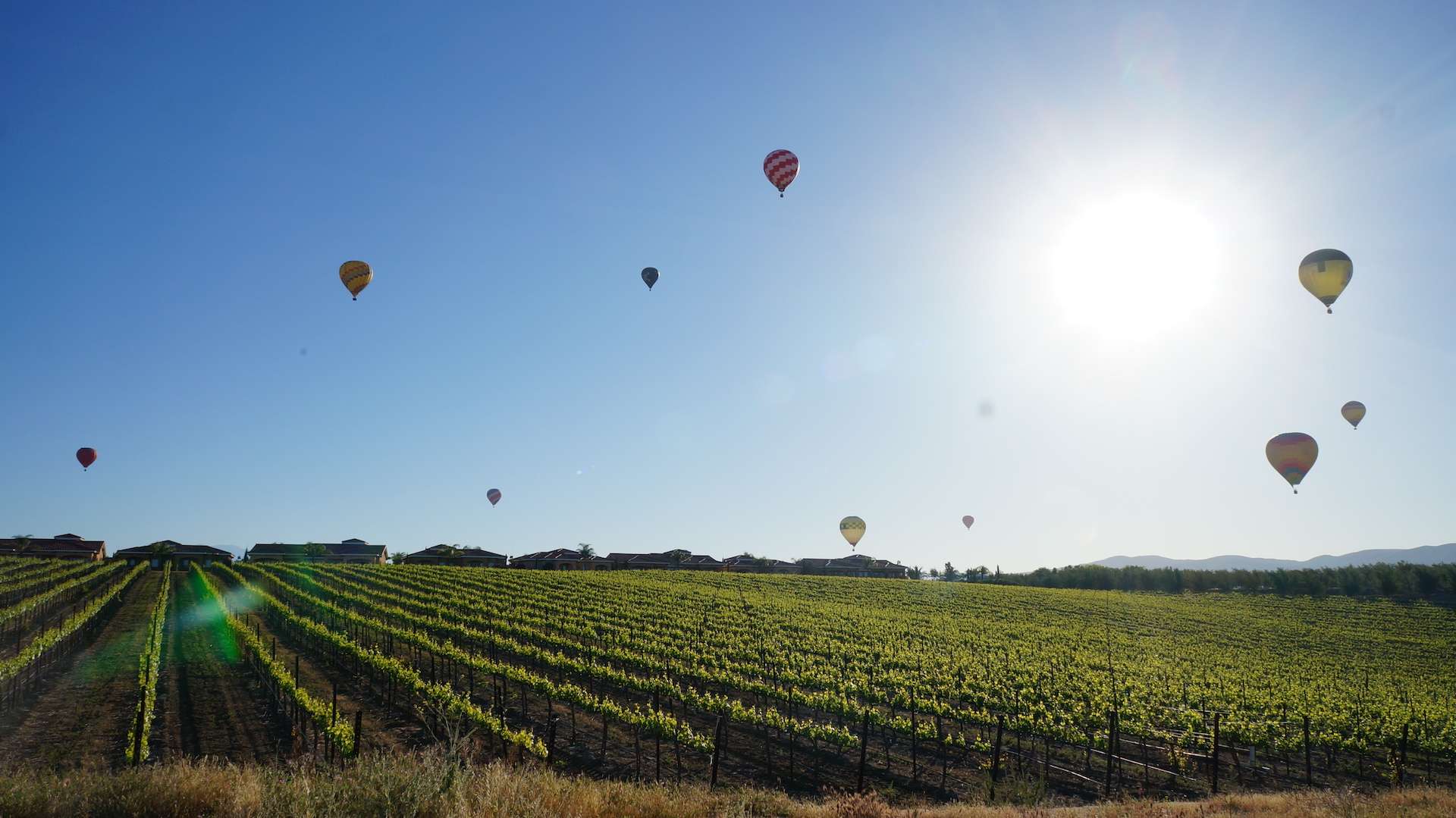 hot air balloons over temecula winery