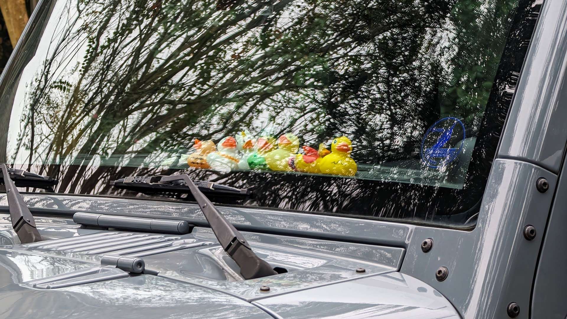 rubber ducks on the dash of a jeep