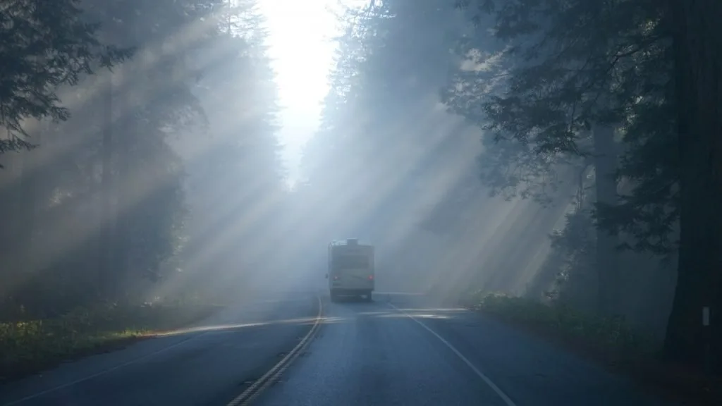 driving 101 near redwoods, fog
