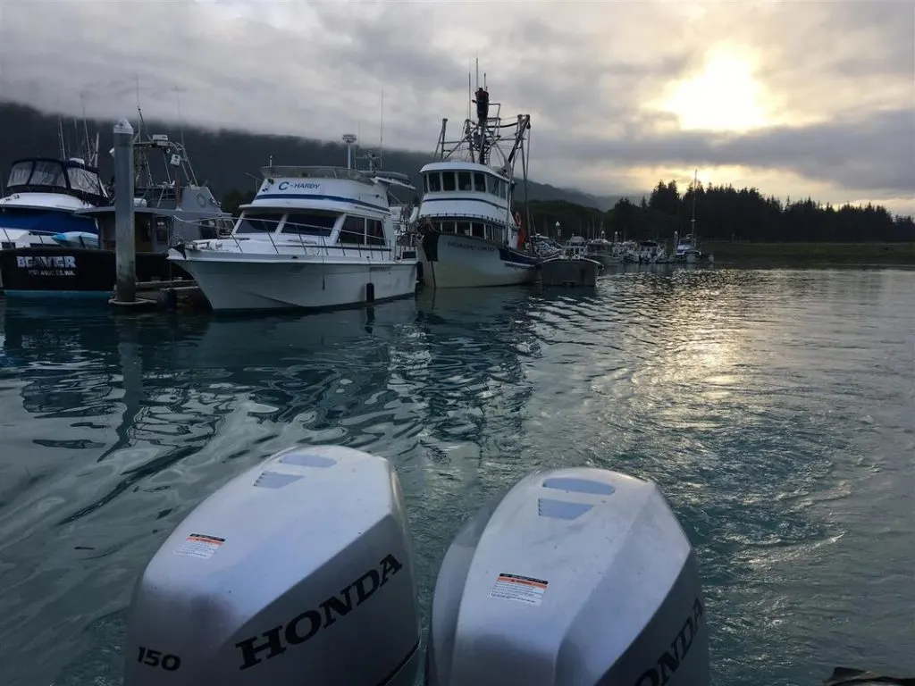 leaving the marina at dawn to go salmon fishing in valdez alaska