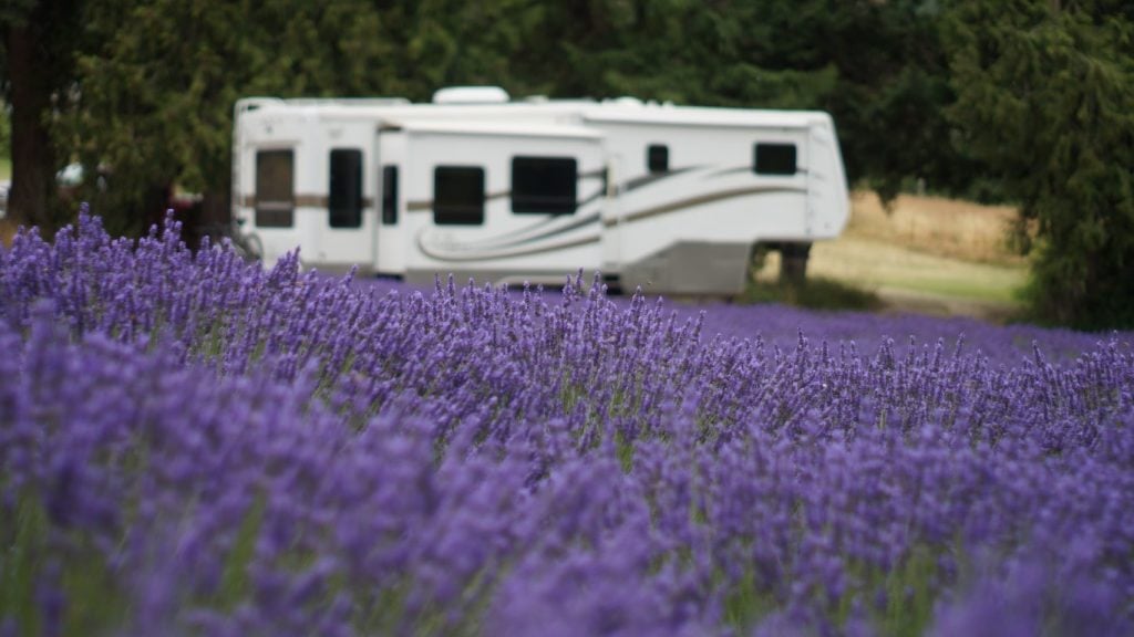 harvest host rv parking lavender farm